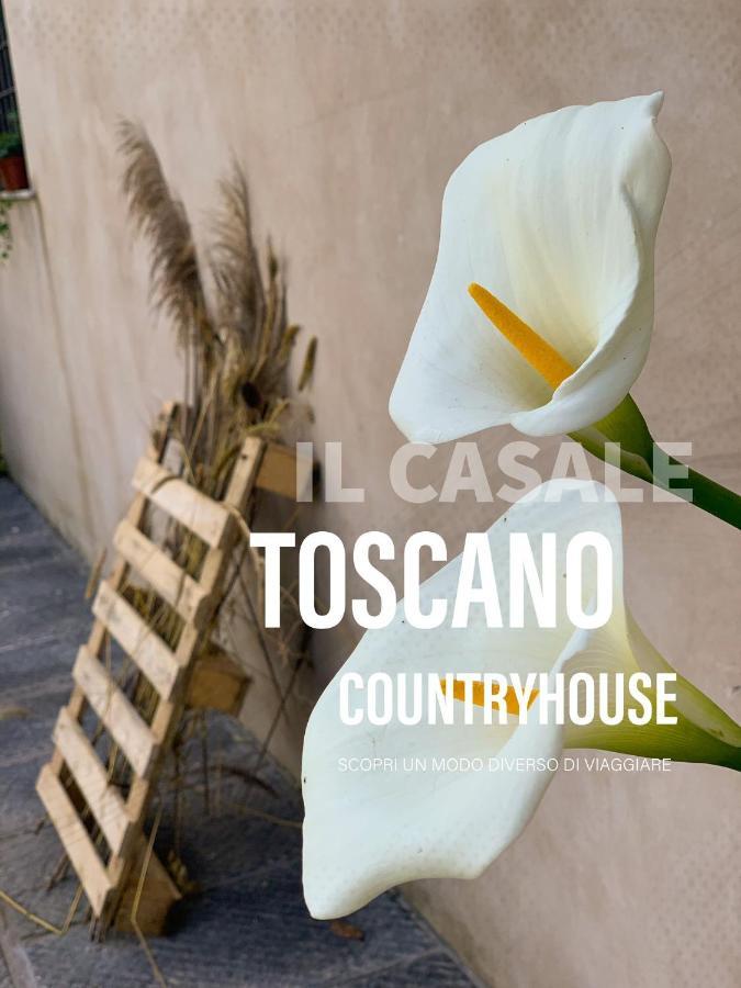 פיזה - Il Casale Toscano - 1900Mt From Leaning Tower - No Breakfast - Free Parking מראה חיצוני תמונה